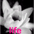 A pixelated grayscale image of a stylized animal head with a black circular eye, featuring pink text reading 'life' at the bottom.