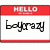Red and white name tag with 'HELLO' at top, displaying 'boycrazy' in black pixelated text across three