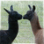 Two dark silhouetted llamas face each other against a light green pixelated background, their heads positioned close together.