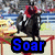 Animated sequence showing a black horse with red saddle, pink heart-shaped objects, and a hamster image with blue text overlays.