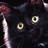 A pixelated close-up of a dark-furred animal's face with large yellow eyes and a pink nose, partially cropped on the left.
