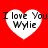 Four white heart shapes on a red background, each containing text reading "I love You Wylie" in black pixelated font.
