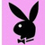 Black silhouette of a rabbit with long ears and a white eye on pink background, static pixelated image.