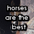 A four- of horse images with overlaid text, each showing a different horse pose and background