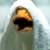 A pixelated close-up of a duck's beak with an open mouth, set against a light blue background.