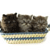 Two dark-furred cats sit side-by-side on a light blue and yellow striped surface with a white background.