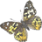 Pixelated butterfly with brown and yellow wings featuring white spots, dark eyespots, and a grayish body against a plain background.