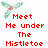 Pixelated hummingbird with green wings and pink body above red pixel text reading 'Meet Me Under The Mistletoe' on white background.