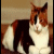A pixelated cat with brown and white fur sits against a beige background, next to bold pink text reading "I LoVe CaTs!" on black.