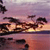 Pixelated landscape with dark silhouettes of trees against a gradient sky transitioning from purple to orange, reflecting in a calm body of water below.