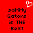 Red background with black pixelated text reading "sammy Gators is THE BeSt" and a white heart symbol above the left side of the text.
