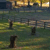 Pixelated landscape with dark vertical shapes on greenish ground under a light sky