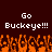 Pixelated text 'Go Buckeye!!!' appears twice on a dark brown background above orange flame-like shapes.