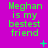 Bright magenta background with green text reading "Meghan is my bestest friend" in three , animated with small cyan and blue pixel dots appearing and disappearing in different positions across frames