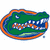 Green alligator head with orange outline, blue inner details, and white teeth, set against white background.
