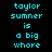 Pixelated cyan text on black background with pink highlight bars, displaying 'taylor sumner is a big whore' in three