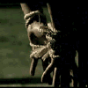 A hand with a bracelet grasps a skeletal hand, both reflected in a dark surface, in a sepia-toned animation.