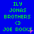 Blue background with green text reading 'ILY JONAS BROTHERS <3 JOE ROCKS' and pink star-like pixels scattered across the image.