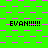 Green background with pink square pattern and repeated black text 'EVAN!!!!!!' in multiple