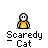 badassbuddy_com-scaredycat