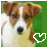 A pixelated dog with brown and white fur, black nose, and dark eyes appears in two side-by-side frames; the left frame includes a green heart-shaped cursor overlay on a solid green background.