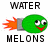 Pixelated green sphere with cartoon eyes and mouth, attached to a gray rocket engine emitting orange flames, above black text reading 'WATER' and below 'MELONS'.