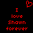 Red pixelated text and heart symbol on black background, two identical side-by-side layouts with 'I love Shawn forever' below a red heart.
