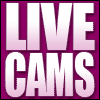 Four- of magenta backgrounds with white text; top-left and bottom-left display 'LIVE CAMS' while top-right and bottom-right show 'LIVE'