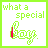 15 identical square with green borders, each containing the text "what a special boy." in light green script. The word "boy" has red and pink pixel changes across frames