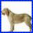 A static image of a light brown dog standing against a white background, next to text reading 'Doggy :) Lover' on a dark gray backdrop with blue border.