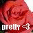 A pixelated red rose with white text reading 'pretty' and a heart symbol below it.
