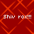 Red background with orange diamond lattice pattern and four identical white text instances reading "Shiv rox!!!" in pixelated font.