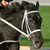 A horse's head with a white bridle appears on the left, while text elements 'eight belles' and 'R.I.P.' in pink pixelated font appear on dark backgrounds.