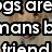 A golden retriever dog with a blue collar appears in the lower portion of an image, while fragmented text overlays are visible above it.