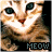 iconhell_xih3artnirvana_00 meow