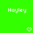 Green background with white pixelated text 'Hoyley' on left and right, two heart symbols below center.