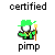 Pixelated character with green hat and clothing holding a staff, surrounded by 'certified' text above and 'pimp' below on gray background.