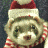 Two ferret-like animals wearing Santa hats and red-and-white striped scarves in a static contact sheet layout.