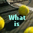 A four- of tennis balls on a textured surface with cyan text reading "What is the world without tennis? <3"