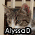 Four cat images arranged in a with text overlays: top-left cat with brown and white fur, top-right cat with brown and white fur, bottom-left cat with white and light brown fur, bottom-right empty space