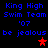 Blue pixelated text reads 'King High Swim Team '07 be jealous' with red stars on a black background, showing animation changes in star positions.