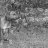 Static grayscale image with pixelated texture showing abstract light and dark gray patterns across the entire frame.