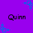 Purple background with repeating blue square patterns and four instances of the text 'Quinn' in black pixelated font.