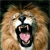 Animals icons for AIM, MSN, MySpace and Yahoo