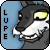 Pixelated cartoon wolf head with yellow eyes and white muzzle, blue background, vertical "LUPE" text on left side.