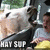 A cartoon-style animation of a person on a roller coaster with 'HAY SUP' text overlay, showing motion in the background and character's position.