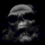 Animated sequence of a stylized skull with shifting facial features against black background.