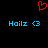 Red pixelated heart symbol above two identical blue text strings reading 'Hailz <3' on a black background.