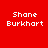Four identical pixelated text displays of 'Shane Burkhart' on red backgrounds with varying gradient effects.