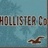 Pixelated icon with 'HOLLISTER C' text over blue background, featuring a brown bird-like shape in lower right.